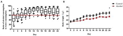 Fecal microbiota transplantation repairs intestinal permeability and regulates the expression of 5-HT to influence alcohol-induced depression-like behaviors in C57BL/6J mice